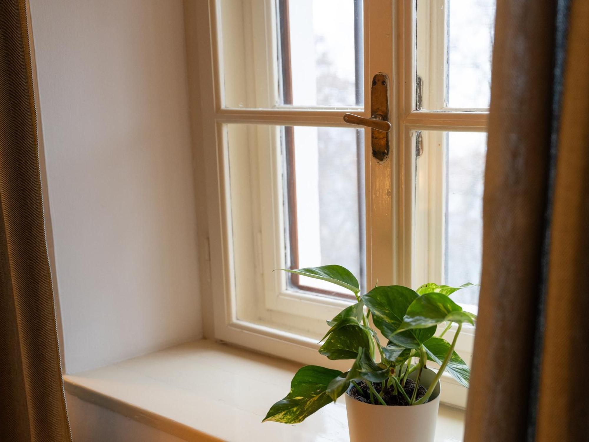 Apartment Eden Soprabolzano
